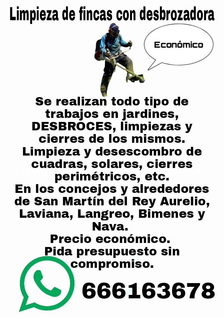 El Delfin